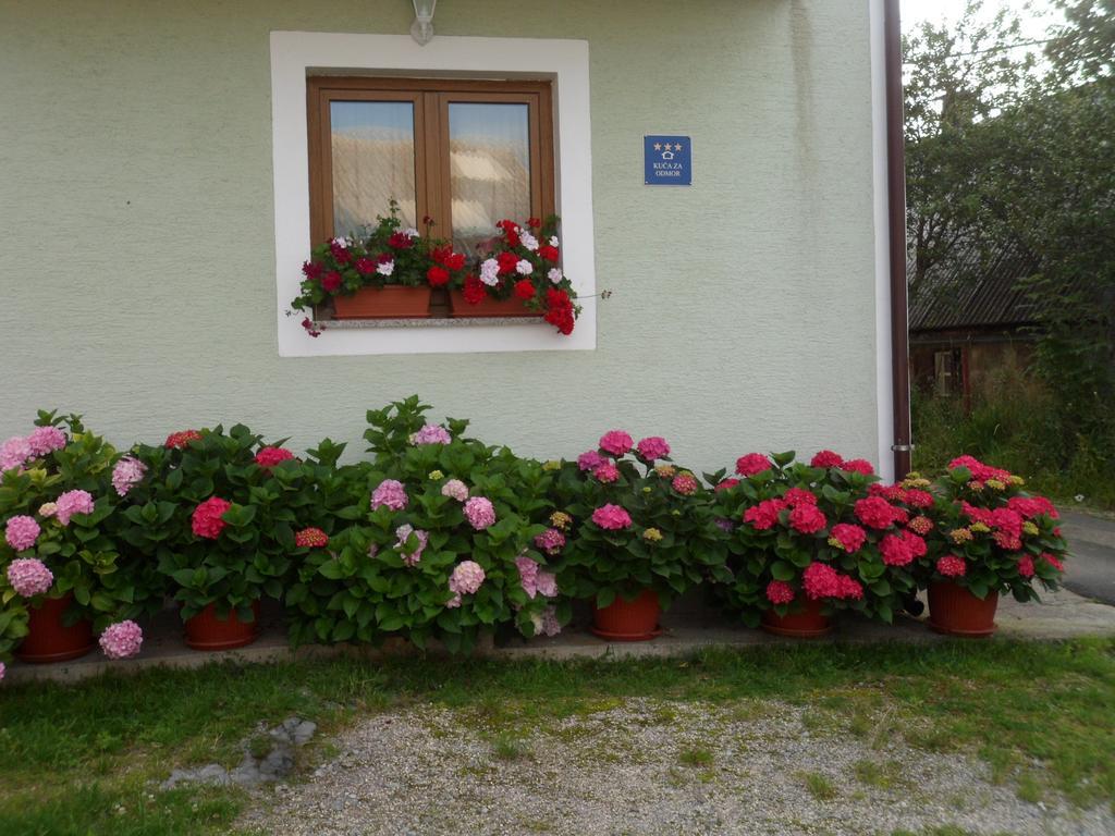 Vacation Home Kuca Za Odmor Krasno Polje Quarto foto